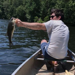 Meet your Posher, Ben